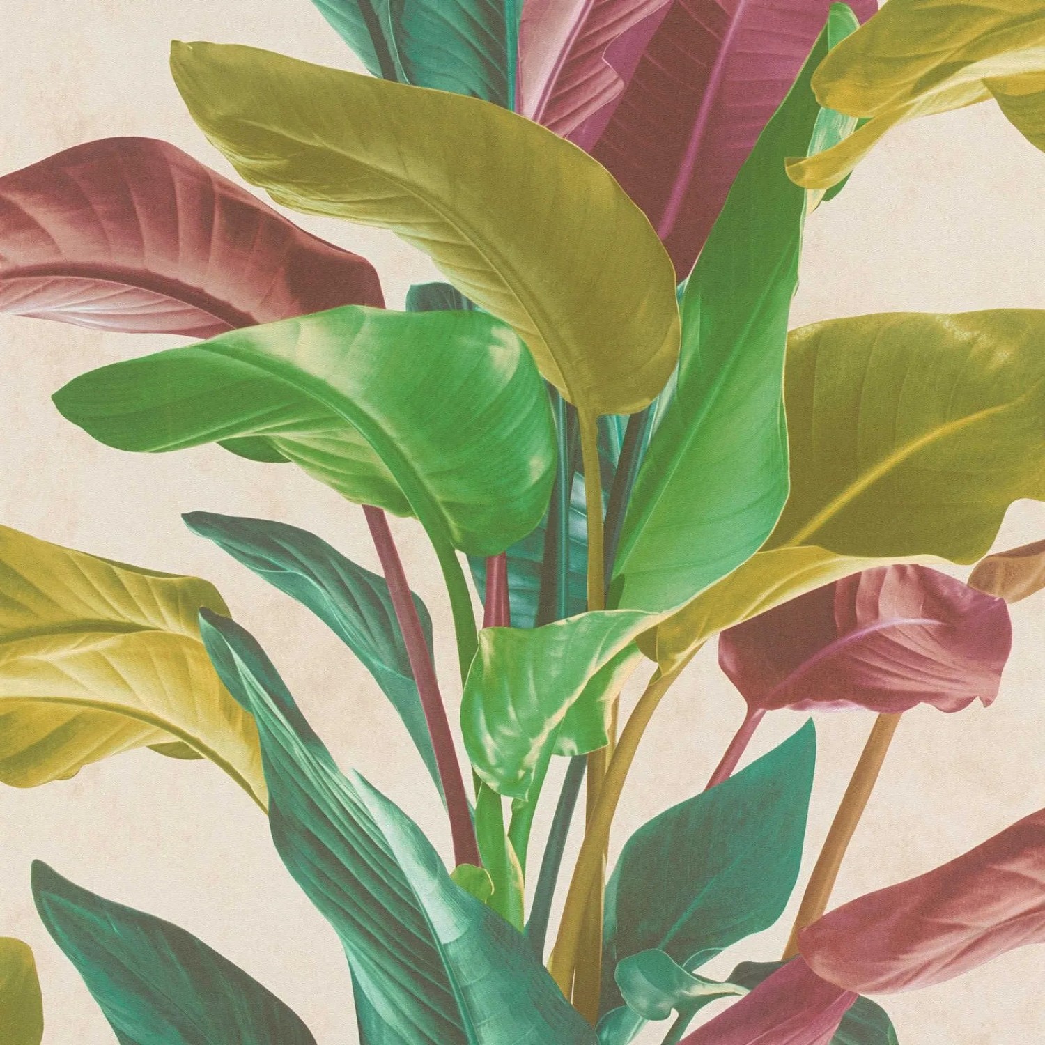 Tadessi Tapete Floral M1-No.615 Vliestapete in Mehrfarbig