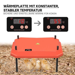 Orange Fudajo 30x40cm Küken-Wärmeplatte mit Temperaturregler, darunter vier Küken auf Stroh. Für Kükenaufzucht.