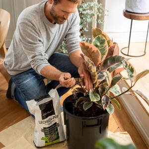 Mann pflanzt Zimmerpflanze mit Lechuza-Pon Pflanzsubstrat in schwarzen Topf.