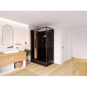Vente-unique Duschkabine Vituna Schwarz 120 cm