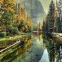 Fototapete: Waldlandschaft mit Fluss, Bäumen und Berg im Hintergrund. Natur in Grün- und Gelbtönen.