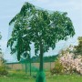 Baum mit grünem Vogelschutznetz Premium 5x2m zum Schutz von Früchten vor Vogelfraß.