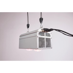 Parus by Venso LED-Pflanzenlampe Canna Bulb 240 für Pflanzenanzucht mit Aufhängung.