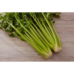 Frischer Stangensellerie, 6er Schale, knackig und aromatisch. Ideal für Salate und Snacks.