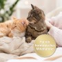 Zwei entspannte Katzen im Mehrkatzenhaushalt, Lösung mit Felisept Family Comfort.