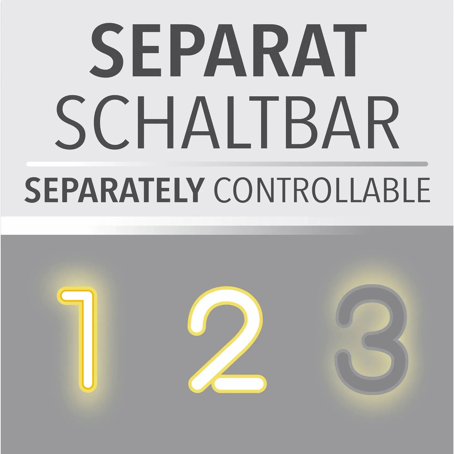Symbol für separat schaltbare LED-Deckenleuchte Paul Neuhaus Eliza.