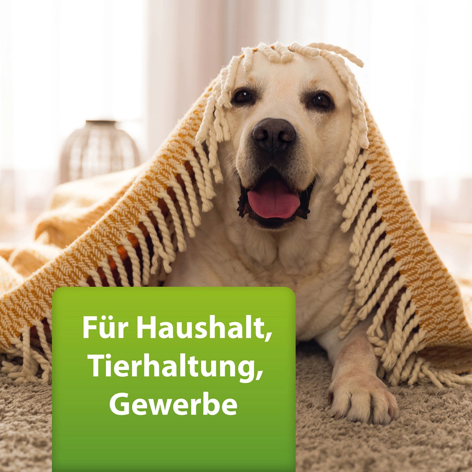 Labrador mit Decke, Textfeld mit "Für Haushalt, Tierhaltung, Gewerbe". Ardap Repell Flohspray geeignet.