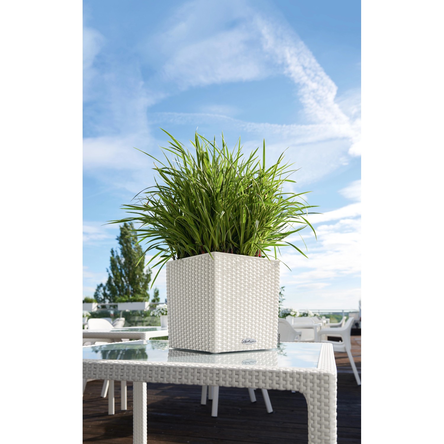 Weißer Lechuza Cube Cottage Pflanzkübel 30x30x30 cm mit Pflanze auf Tisch im Außenbereich.