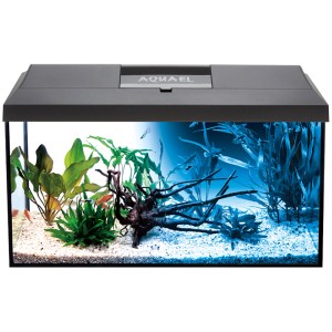 Aquael Leddy Day & Night 60 Aquarium-Komplettset, schwarzes Becken mit Pflanzen und Deko.