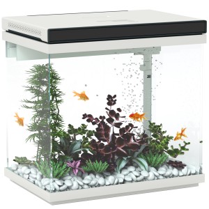 Weißes PawHut Aquarium mit Fischen, Pflanzen und Zubehör. Komplettes Terrarium-Set.