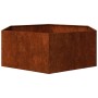 vidaXL Pflanzkübel Rostig 138x120x45 cm Cortenstahl 823677_5