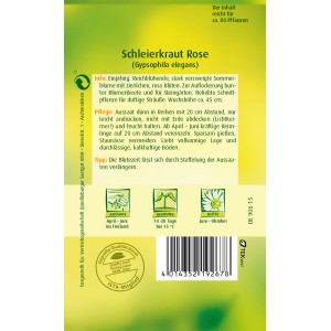 Quedlinburger Schleierkraut Rose Samen, einjährige Sommerblume für Beet und Strauß.