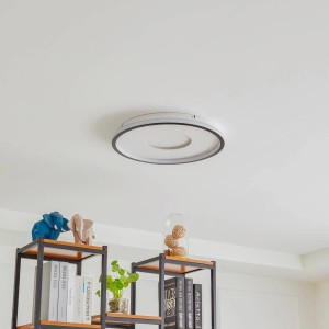 Lindby LED Deckenleuchte Edenia 10013330 in Schwarz 1-flammig Wohnzimmerleuchte