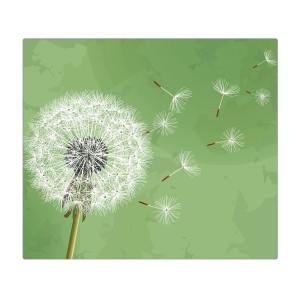 Banjado Herdabdeckplatte aus Glas mit Pusteblumen Motiv, 60x52 cm.