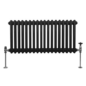 Schwarzer 2-Säulen Heizkörper, 300x832mm, traditionelles Design für Heizungssysteme.