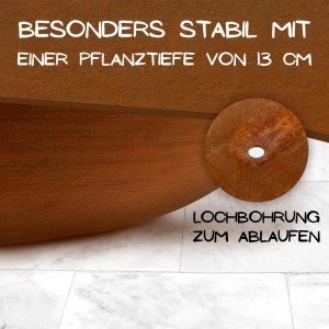 Cortenstahl Pflanzschale mit 13 cm Pflanztiefe und Ablaufloch. Rost Patina, wetterfest für Garten & Balkon.