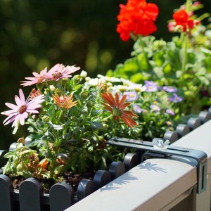 Anthrazitfarbene Metall-Blumenkastenhalterung am Balkongeländer, mit bunten Blumen im Pflanzkasten. Verstellbare Befestigung.