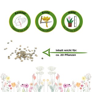 Samen der Flaschentomate San Marzano, ausreichend für ca. 20 Pflanzen. Gemüsesamen für den Garten.