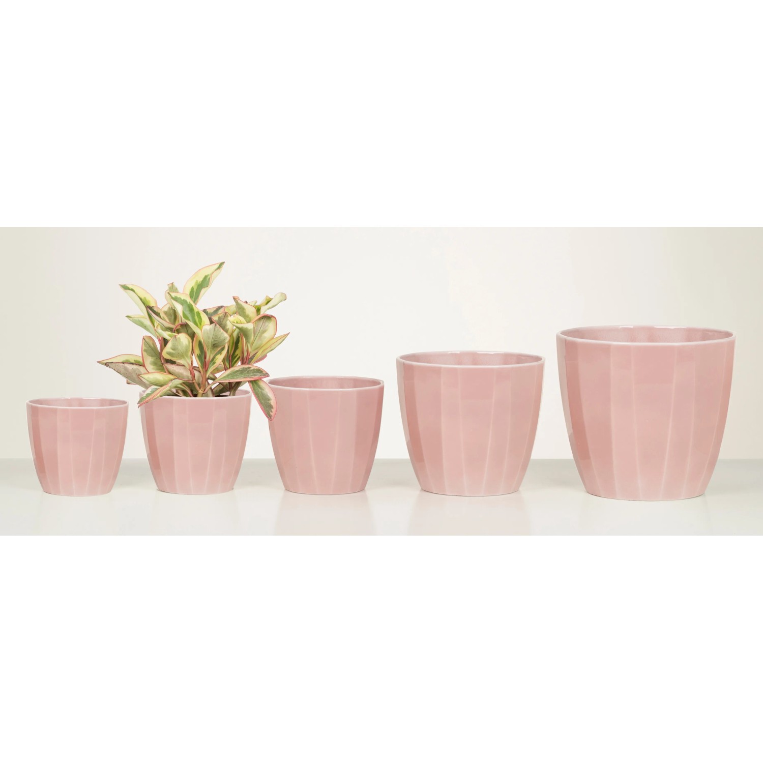 Scheurich Übertopf 939 Ø 10 cm x 9 cm Rose Elegance kaufen bei OBI