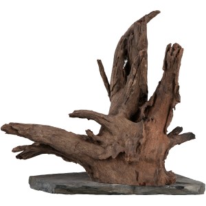 Sera Aquarien-Wurzel Scaper Wood L, 30-35 cm, auf Schieferplatte für Aquariendekoration.
