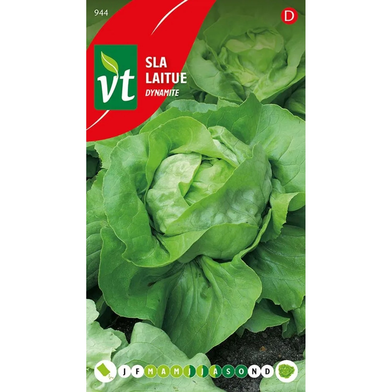 Kopfsalat 'Dynamite' Saatgut ca. 0,6 g Knackig