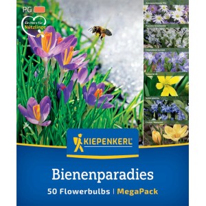 Kiepenkerl Bienenparadies Mega Pack: Blumenzwiebeln mit Krokussen und Biene im Flug.