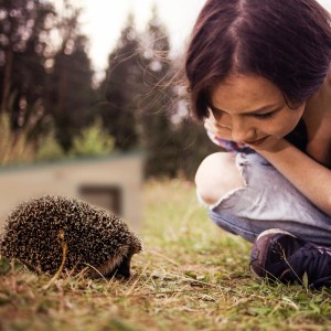 Relaxdays Igelhaus Tannenholz Hellbraun Grün mit Boden 2 Kammern Abnehmbares Dach 21,5 cm x 40 cm x 40 cm 3,4 kg