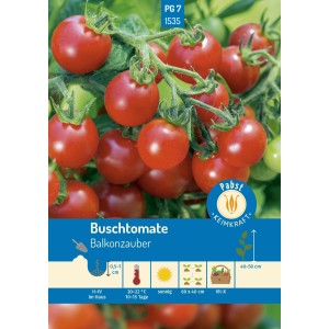 Pabst Keimkraft Buschtomate Balkonzauber Saatgut mit reifen, roten Tomaten.