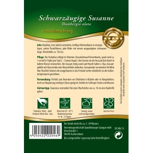 Quedlinburger Schwarzäugige Susanne Pastell Mischung, einjährige Kletterpflanze mit pastellfarbenen Blüten.