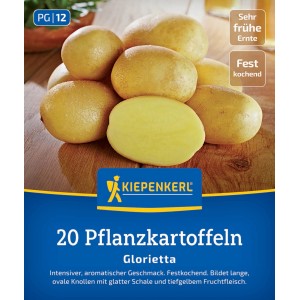 Kiepenkerl Pflanzkartoffel Glorietta, 20 St