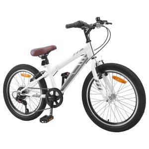vidaXL Mountainbike 20 Zoll 6-Speed für 5-8 Jahre Alt Weiß 42009746