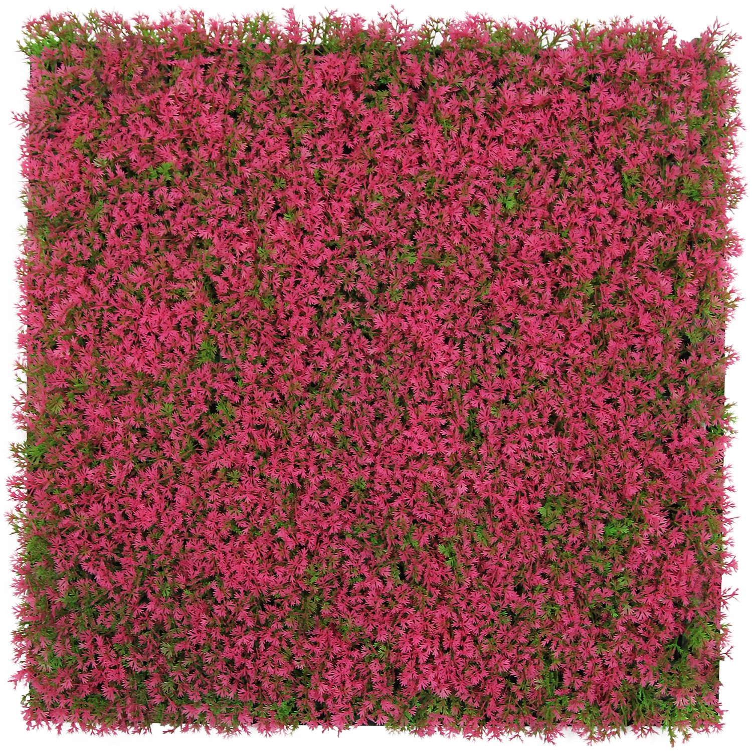 Jangal Wandpaneel Modular Wall Pink Design Grass 52 x 52 cm günstig online kaufen