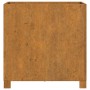 Quadratischer, rostfarbener vidaXL Pflanzkübel aus Cortenstahl, 50x50x50 cm, 2er-Set.
