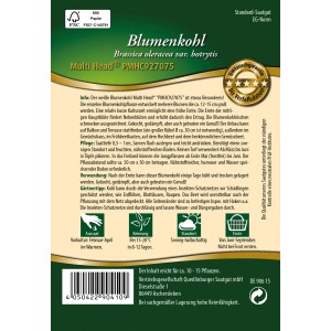 Samentüte Quedlinburger Blumenkohl Multi Head: Früh reifender Blumenkohl für Beet und Topf.