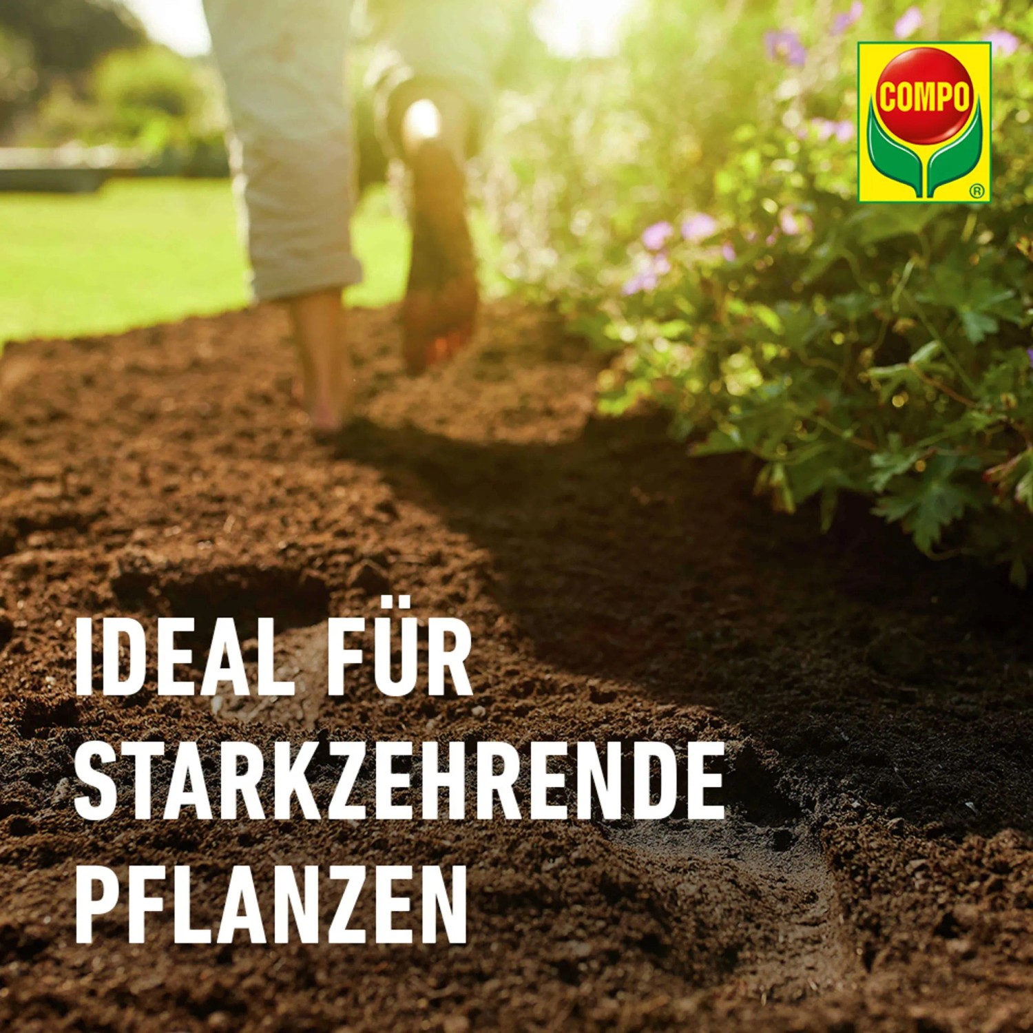 Compo Sana Balkon- und Kübelpflanzenerde 1 x 70 l_7