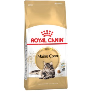 Royal Canin Maine Coon Adult Katzenfutter Trocken 4kg Packung mit Maine Coon Katze.