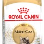 Royal Canin Maine Coon Adult Katzenfutter Trocken 4kg Packung mit Maine Coon Katze.