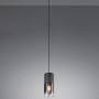 Moderne Trio Leuchten Pendelleuchte Robin, schwarz matt mit rauchfarbenem Glas.