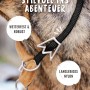 Schwarzes Rudelkönig Zugstopphalsband aus Nylon für Hunde, Größe 6.