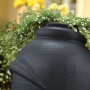 Anthrazitfarbene Waterform Regentonne Aquacan 360 l im Amphoren-Design vor Pflanzen.