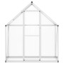 vidaXL Gewächshaus mit Fundamentrahmen Silbern 169x58x195cm Aluminimum 4005816_3