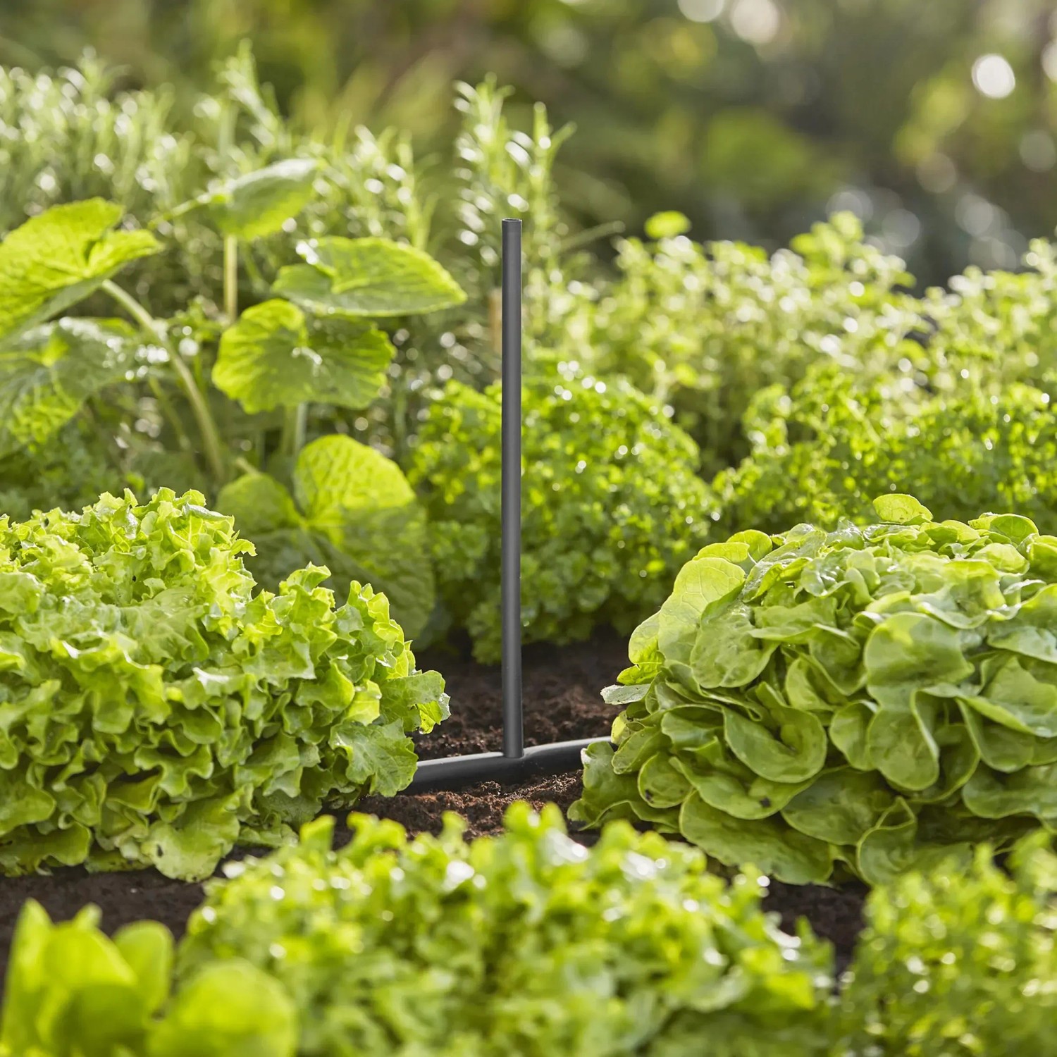 Gardena Verlängerungsrohr 20 cm für Sprühdüsen im Beet, Micro-Drip-System.