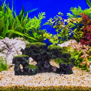 Grauer Relaxdays Aquarium Dekostein mit 3 Löchern und Moos für Aquascaping.