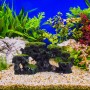 Grauer Relaxdays Aquarium Dekostein mit 3 Löchern und Moos für Aquascaping.