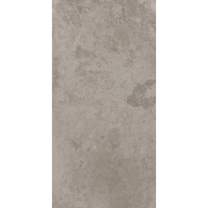 Feinsteinzeug Bodenfliese in Anthrazit, matte Glasur, 60x120 cm, für Innen- und Außenbereich.