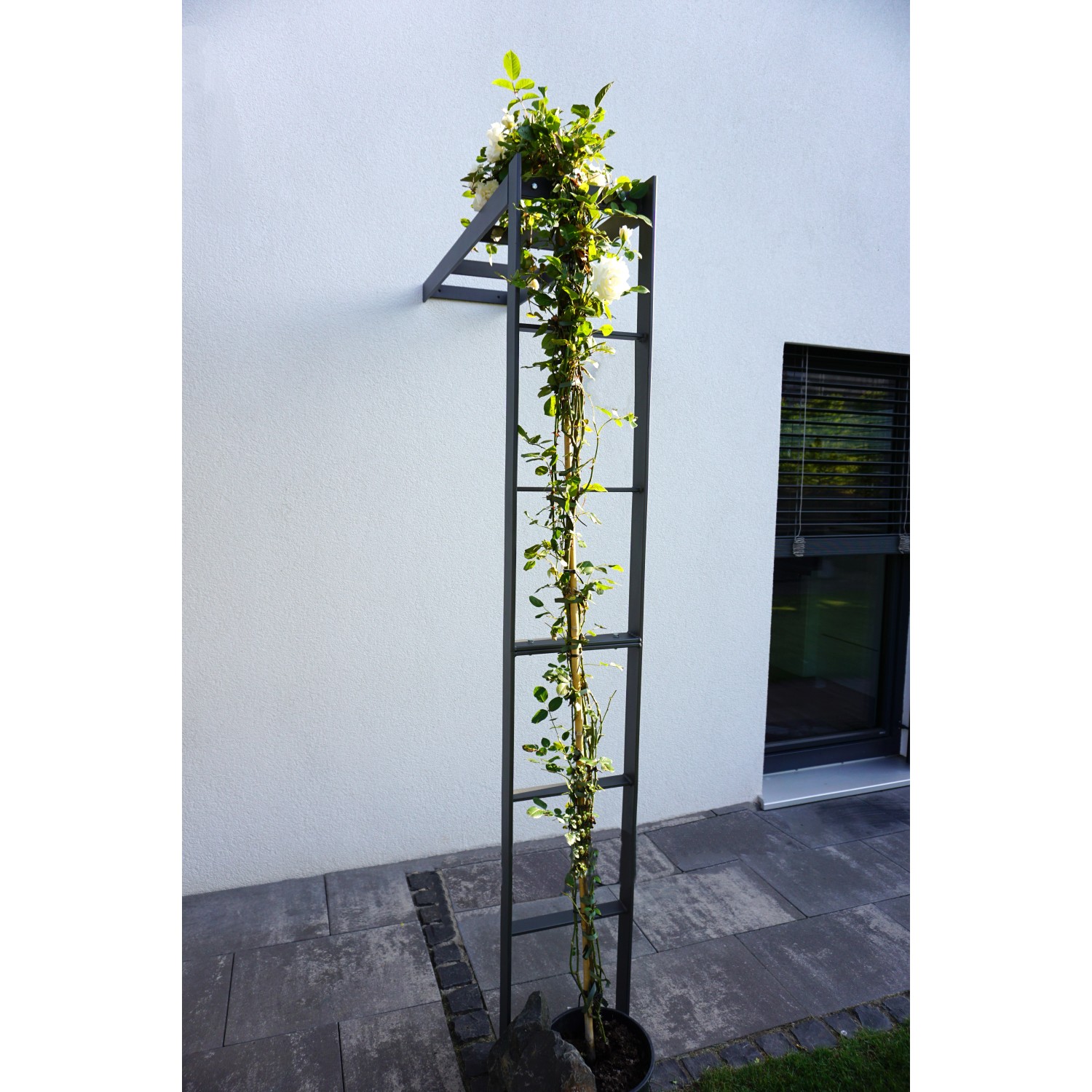 Anthrazit Wandrosenbogen Sorrento mit Kletterpflanze als Gartendeko.