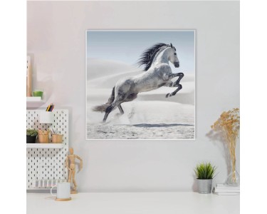Banjado Glas-Magnettafel 50x50 Cm – Mit Motiv „Wilde Pferde“, Beschreibbar, Mit 4 Magneten