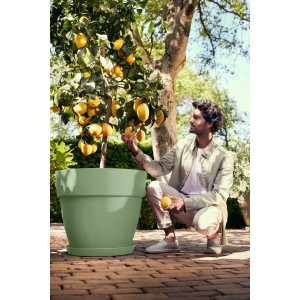 Elho Vibia Campana Pflanzentopf Ø 47cm, pistaziengrün, mit Zitronenbaum im Garten.