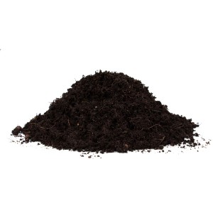 Floragard Bio-Kräutererde, torffreie Erde für aromatische Kräuter.