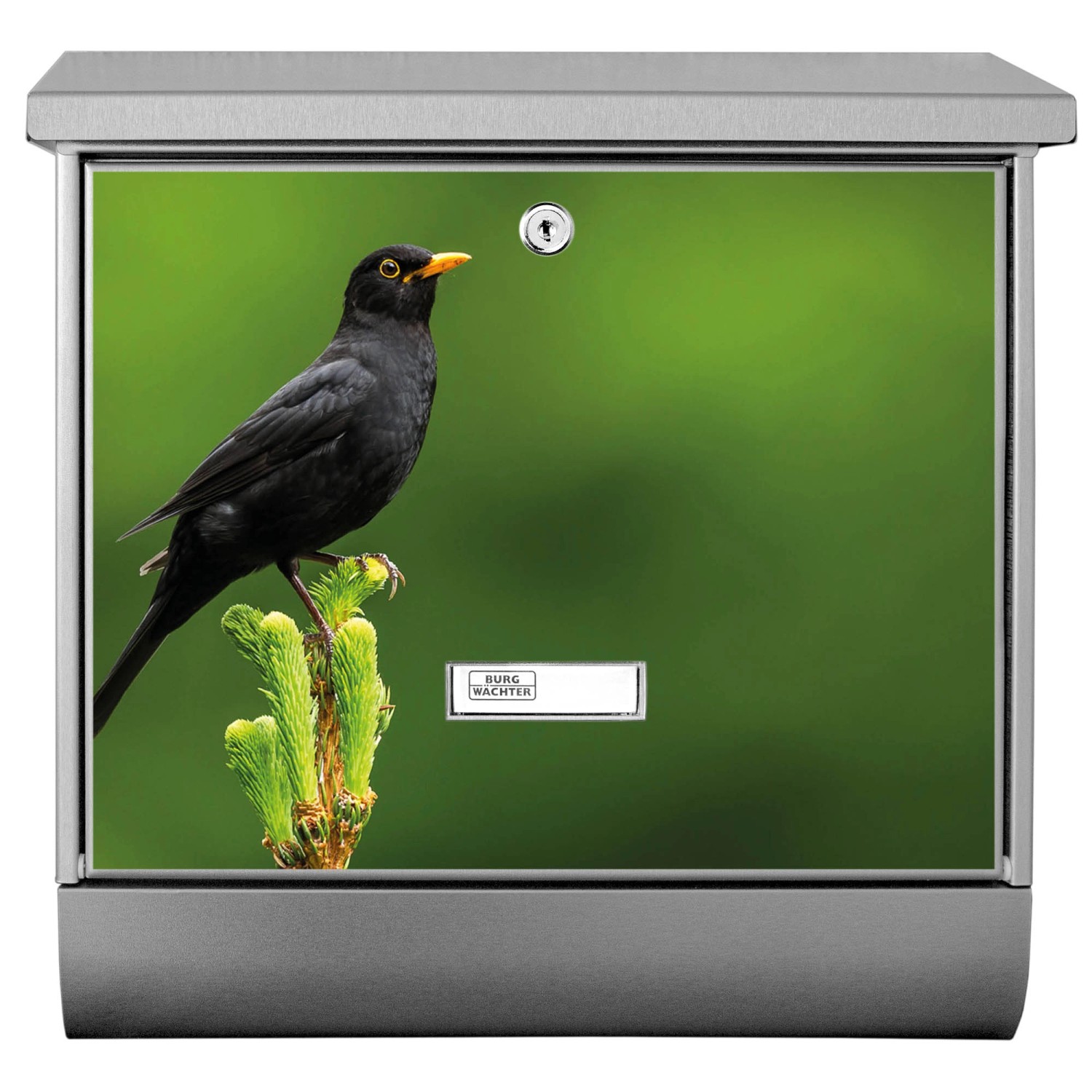 Banjado Edelstahl Briefkasten mit Vogel Motiv auf Tannenzweig und Zeitungsfach.